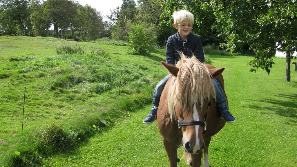 Lyngbjerggaard Lejrskole