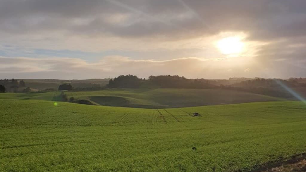 Die Hügel & Naturpfade in Gærum