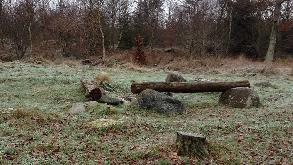 Stursbøl Plantage - den Ochsenweg Hærvejen entlang