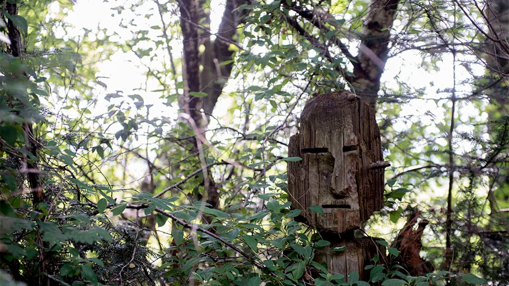 Stursbøl Plantage - den Ochsenweg Hærvejen entlang