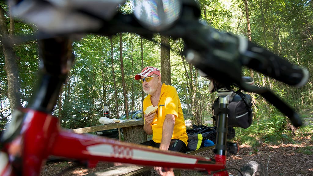 Stursbøl Plantage - den Ochsenweg Hærvejen entlang