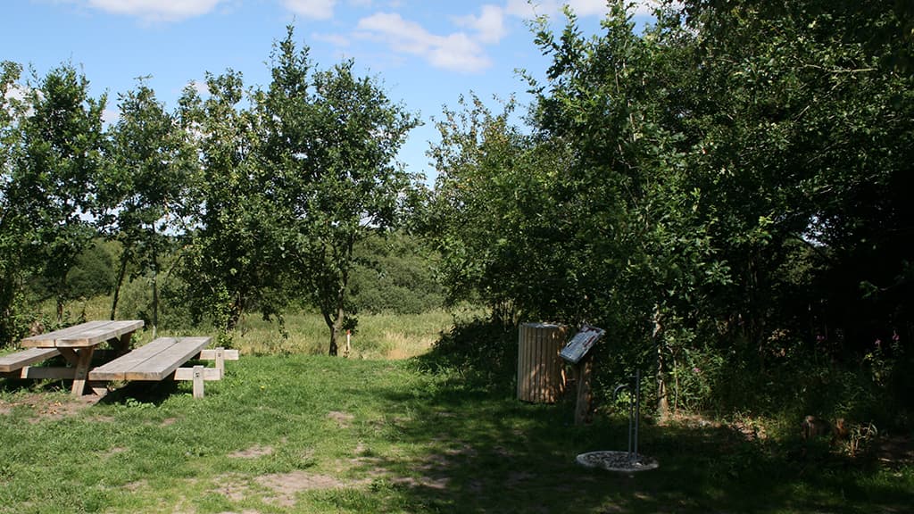 Shelters, Skudstrup, Kongeåstien