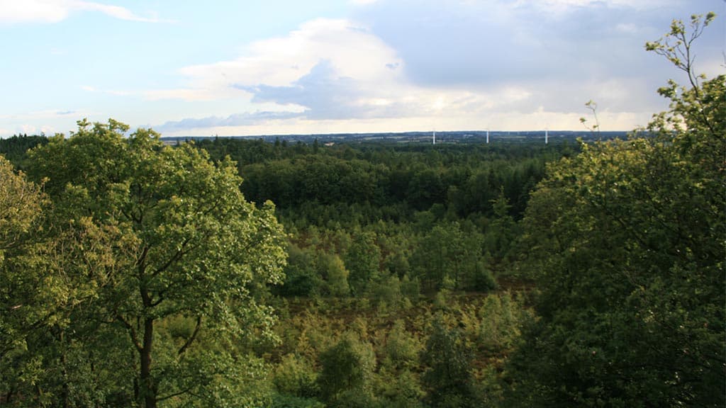 Fru Mettes Bjerg, view