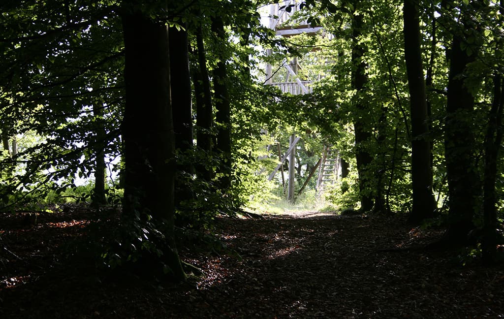 Hundsbæk Plantage, Læborg - Vejen