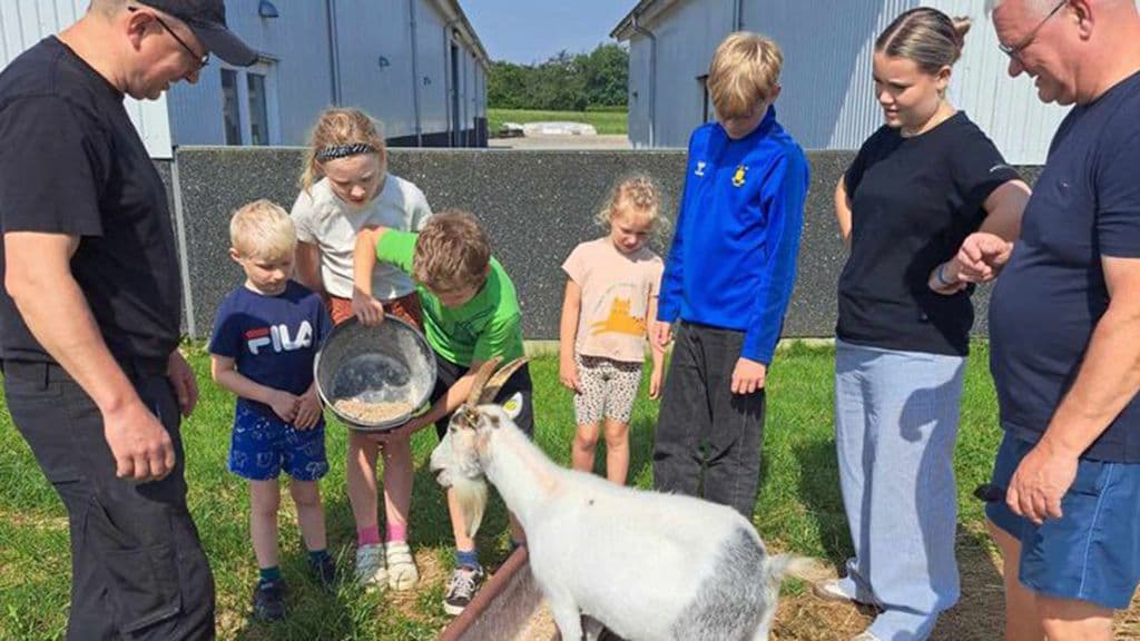 Tierfütterung auf Tinnetgaard jedes Wochenende