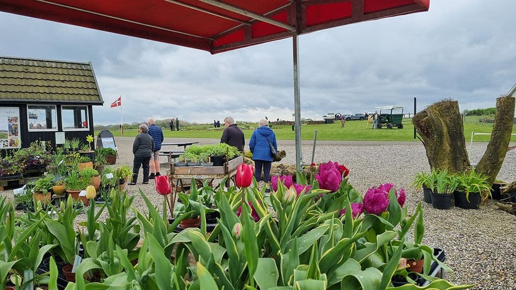 Gemütlicher Frühlingsmarkt auf Tinnetgaard