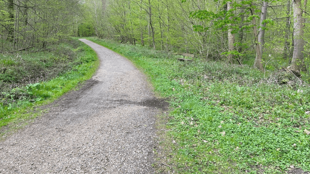 Die Wälder von Aabenraa